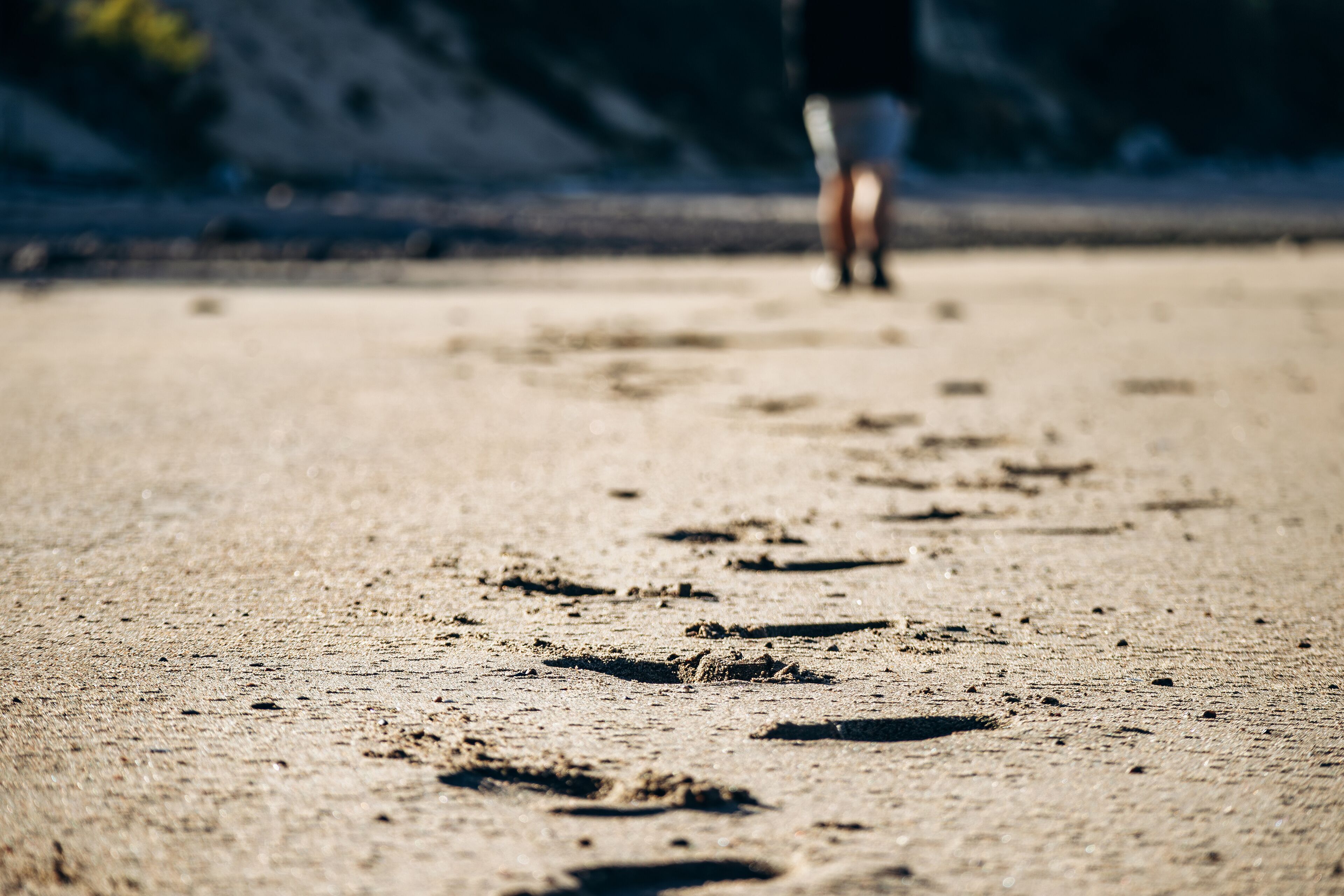 Wide sandy and rocky beaches at low tide along the St Lawrence River, with forested hills in the background and long human footprints leading across the empty shoreline in warm evening light