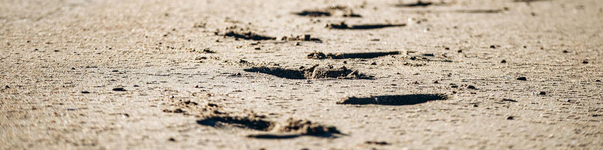 Wide sandy and rocky beaches at low tide along the St Lawrence River, with forested hills in the background and long human footprints leading across the empty shoreline in warm evening light