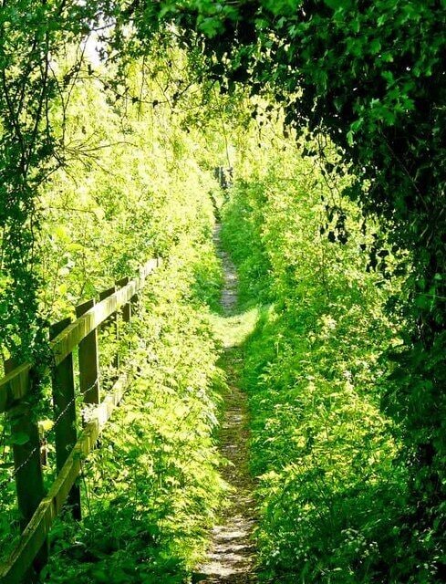Footpath At Bowman's Mill, Astwick