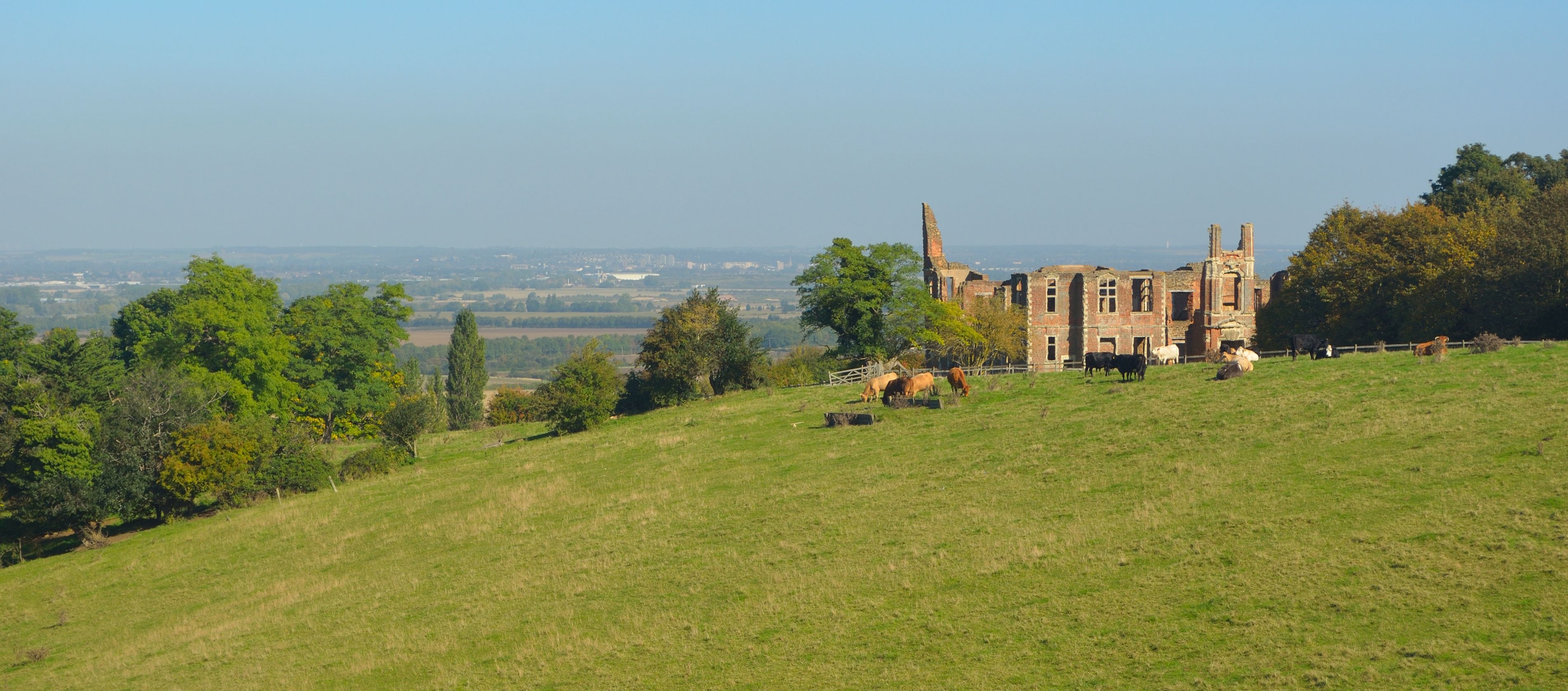A grassy hill with a historic building and cows grazing.