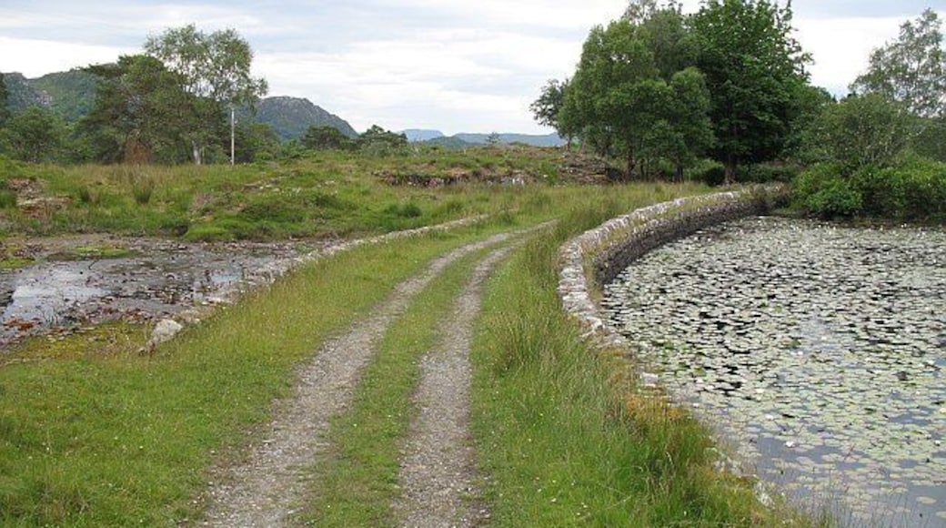 Dam, Lily Pond Estate road crossing the dam that impounds the lily pond.