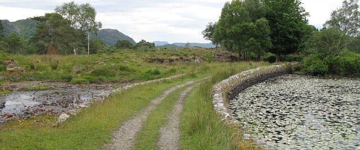 Dam, Lily Pond Estate road crossing the dam that impounds the lily pond.