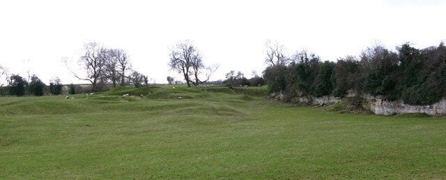 A grassy field with rolling hills and leafless trees.