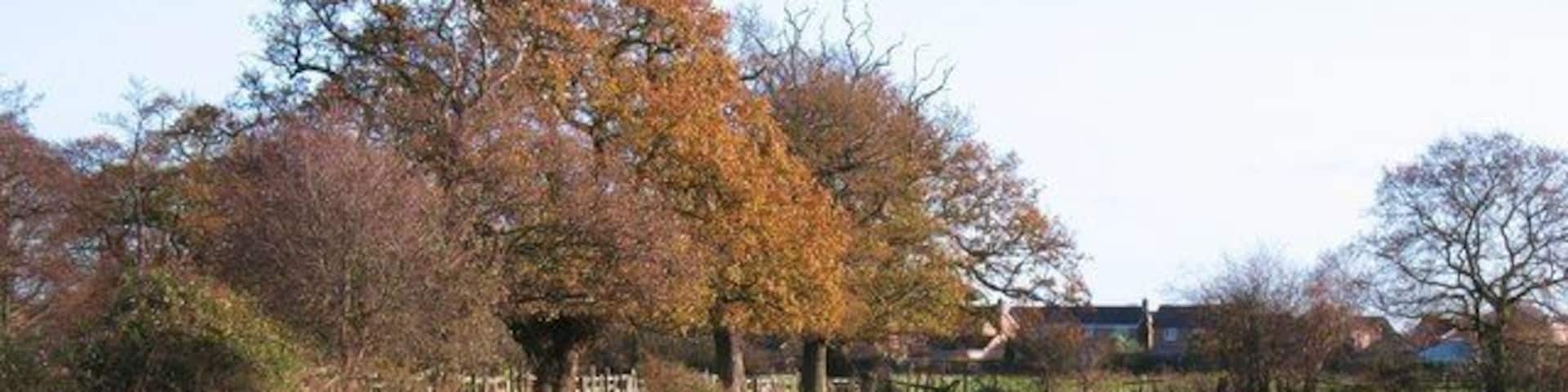 A thin strip of green The rural landscape between Knapton and the edge of York is a mere two fields wide.