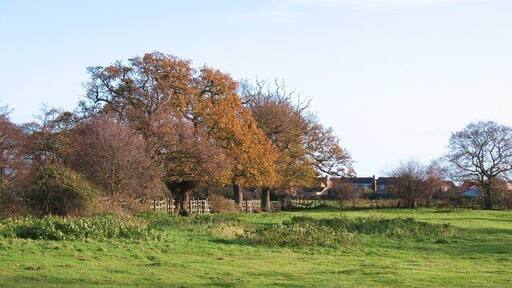 A thin strip of green The rural landscape between Knapton and the edge of York is a mere two fields wide.