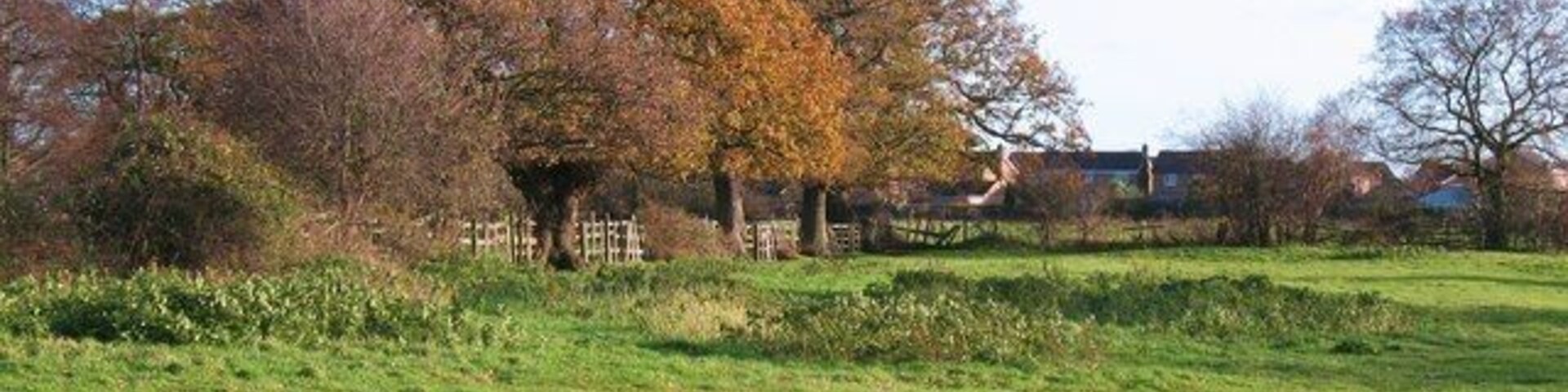 A thin strip of green The rural landscape between Knapton and the edge of York is a mere two fields wide.