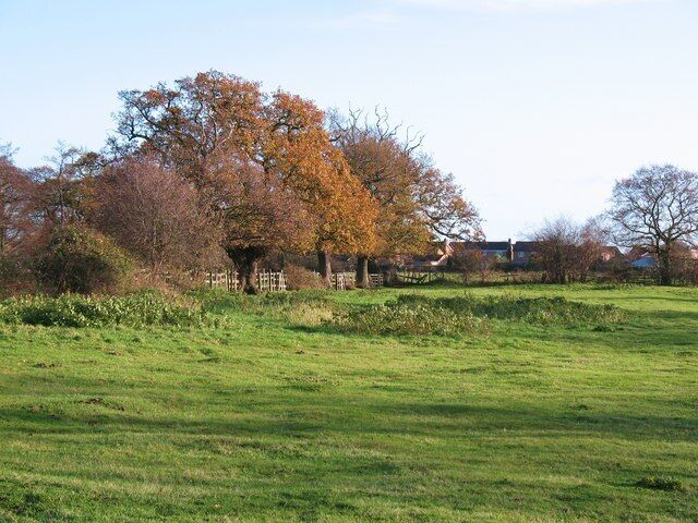 A grassy field with trees in autumn colors and a fence in the background.