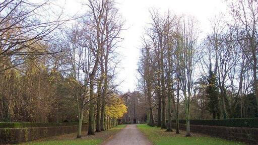 Avenue leading to The Priory at Nun Monkton