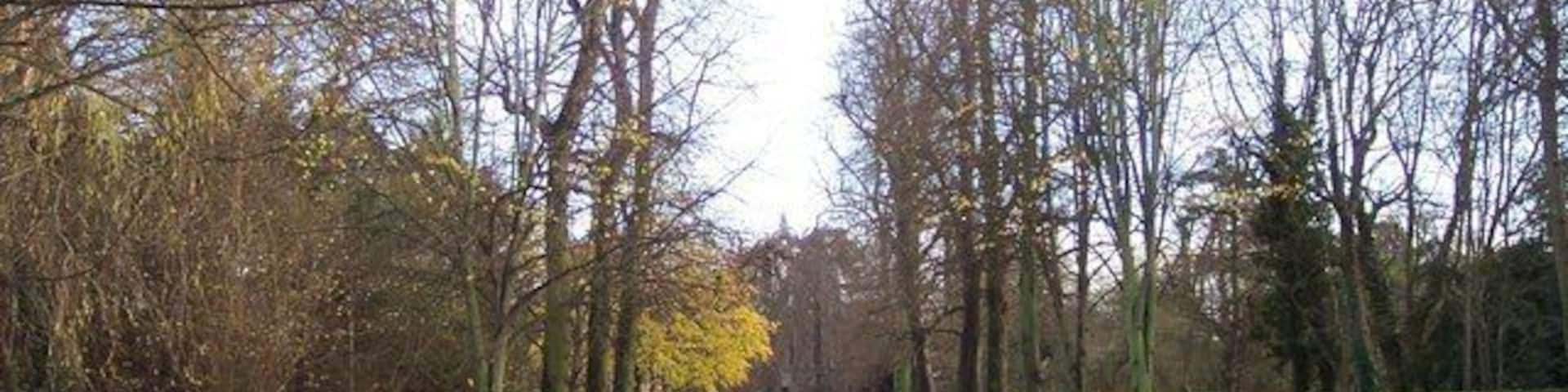 Avenue leading to The Priory at Nun Monkton