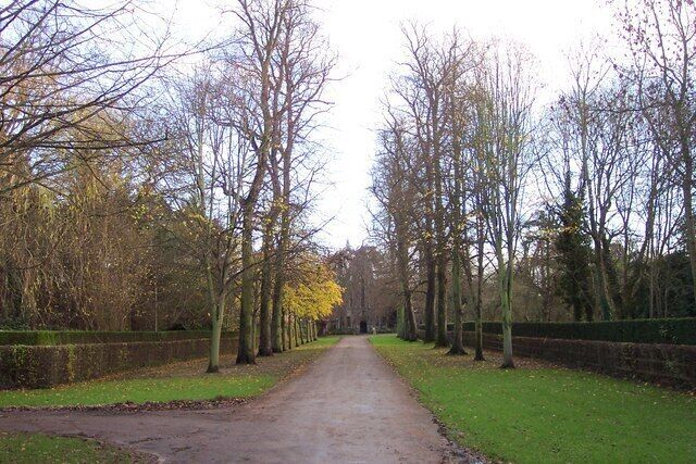 A narrow rural road flanked by leafless trees and a stone wall.