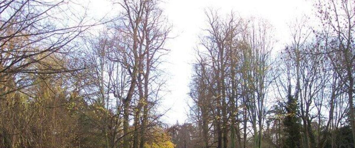 A narrow rural road flanked by leafless trees and a stone wall.