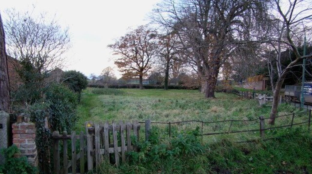 A Whixley Verge There are two triangular greens or verges at either end of Church Street in Whixley. This one is located at the western end close to Whixley Hall.