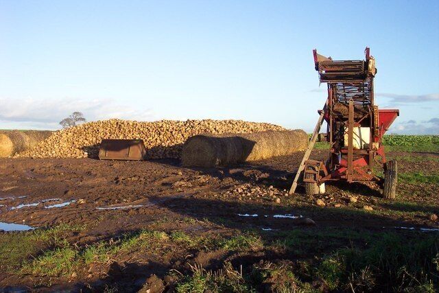 A rural landscape with a pile of hay bales and a red agricultural machine.