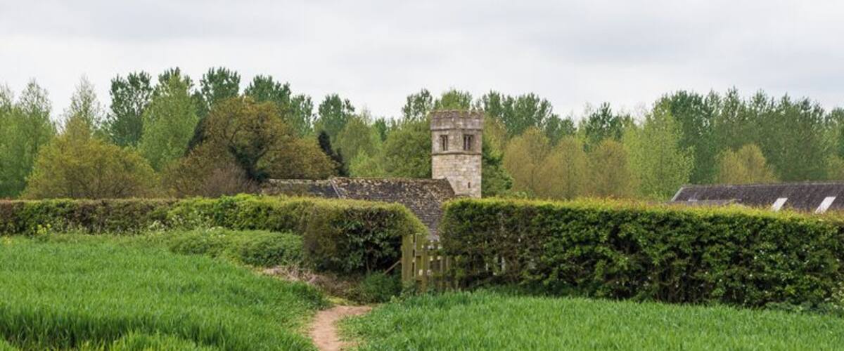 A rural path leading to a stone tower amidst lush green fields and hedges.