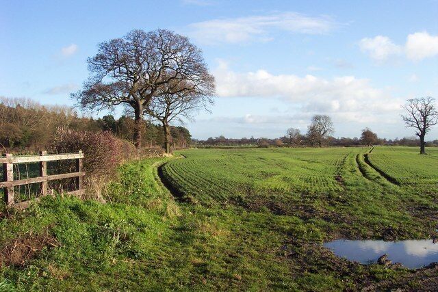 War Fields Open fields off War Field Lane, Cowthorpe.
