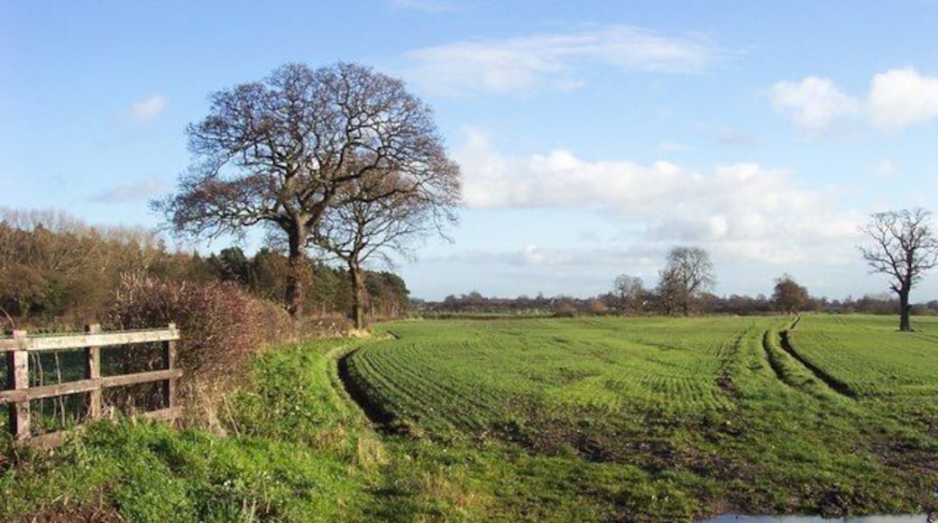 War Fields Open fields off War Field Lane, Cowthorpe.