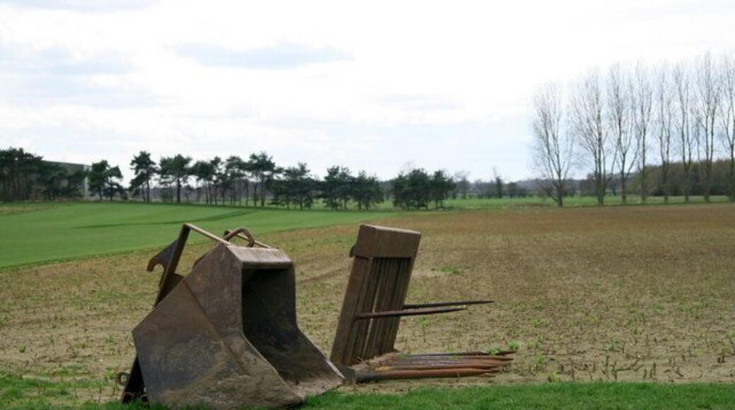 Ready for use An area Northeast of Selby where much of the farmland has been turned over to growing lawn turf.