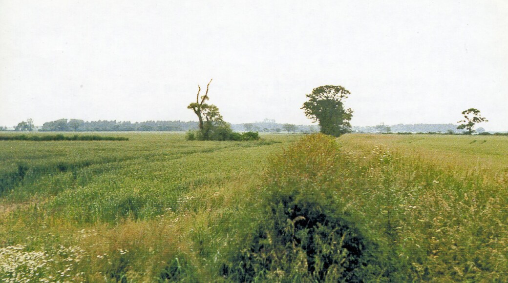 Site of Cottingwith station (DVLR), 1988. View westward, across former course of the Derwent Valley Light Railway, from York (Layerthorpe) (right) to Cliff Common (left). Nothing to be seen in 1988, the line having been closed completely since 31/12/64 (to passengers since 1/9/26)!