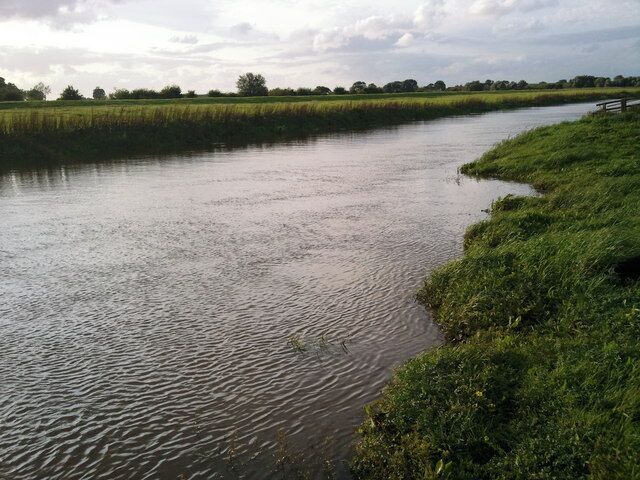 River Derwent near East Cottingwith Ings, East Cottingwith, East Riding of Yorkshire, England.