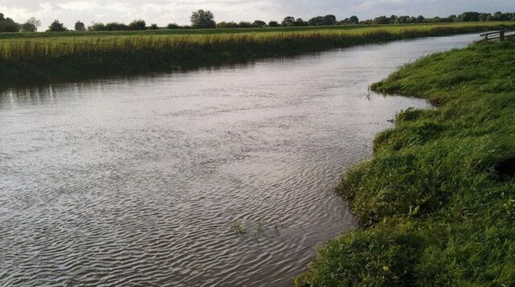 River Derwent near East Cottingwith Ings, East Cottingwith, East Riding of Yorkshire, England.