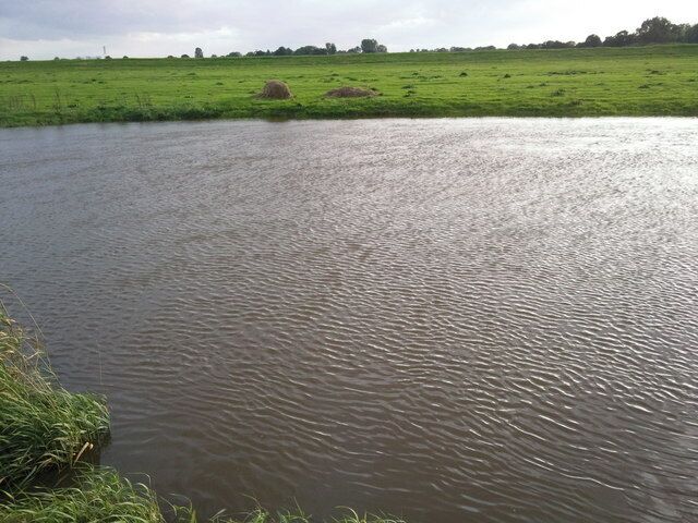 River Derwent near Ellerton ings, Ellerton, East Riding of Yorkshire, England.