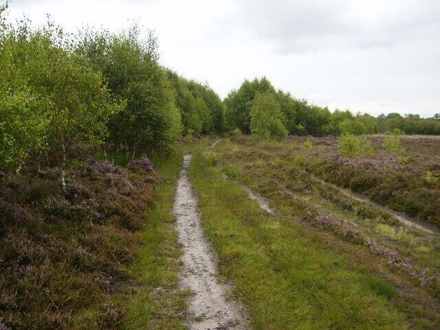 Track on Strensall Common near White Carr