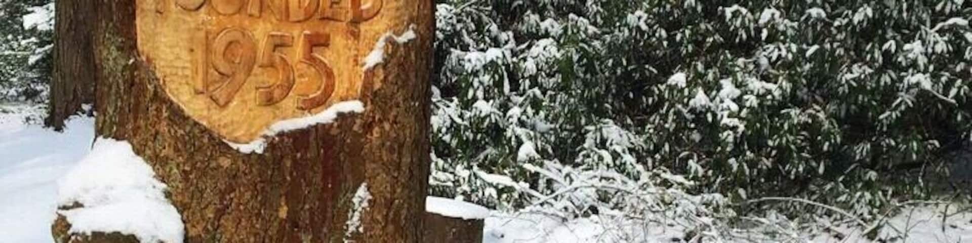 Moorlands Nature Reserve in the snow this week!