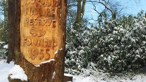 Moorlands Nature Reserve in the snow this week!