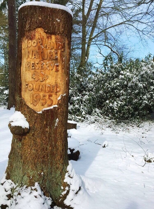 Moorlands Nature Reserve in the snow this week!