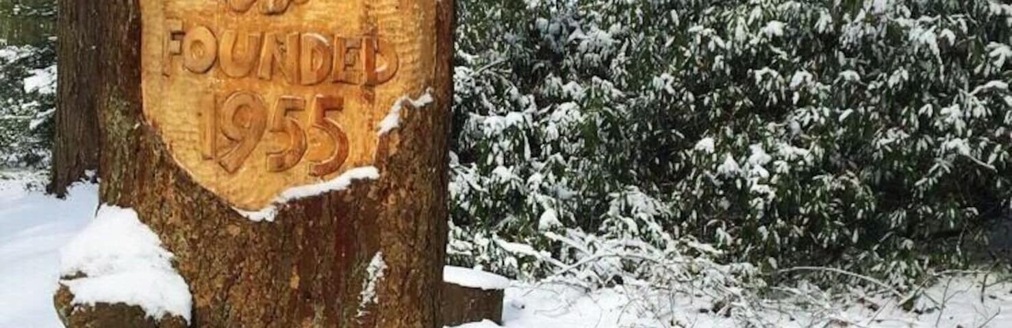 Moorlands Nature Reserve in the snow this week!