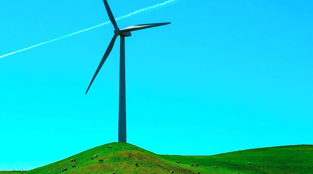 Beautiful day in the Manawatu