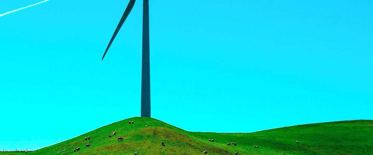 Beautiful day in the Manawatu