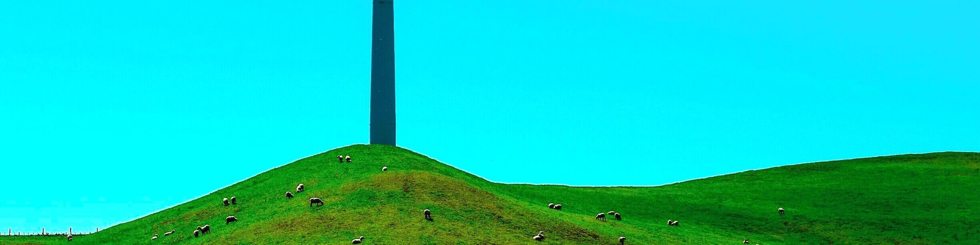 Beautiful day in the Manawatu