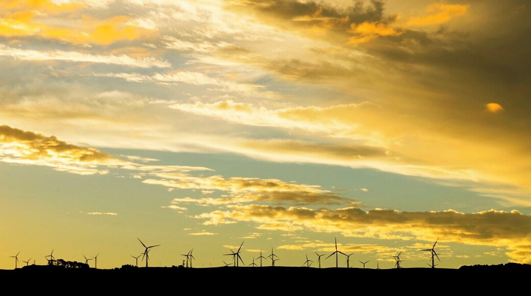 Great sunset over the wind farm.