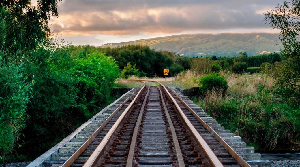 Just a photo from the railway bridge outside Woodville. On the the Woodville to Masterton line does not get used that much anymore.