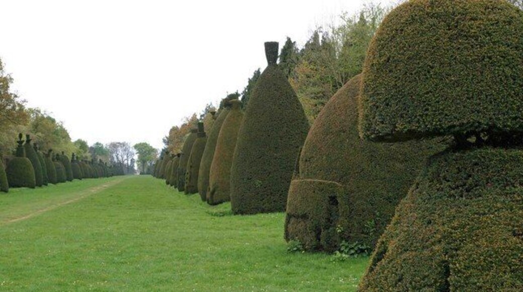 Clipsham Yew Tree Avenue — a topiary avenue in Rutland, England. The avenue (landscape allée) stretches for 500 metres (1,600 ft), with ~150 shaped yew trees—Taxus baccata topiary lining the carriage drive to Clipsham Hall, a large 18C mansion set in parkland. Many of the trees are over 200 years old. The trees have been trimmed into various shapes depicting birds and animals on the tops and various designs in relief on the sides, started by Amos Alexander in 1870, whilst living at the gatehouse. The Forestry commission took over the avenue in 1955 and has continued with the tradition.