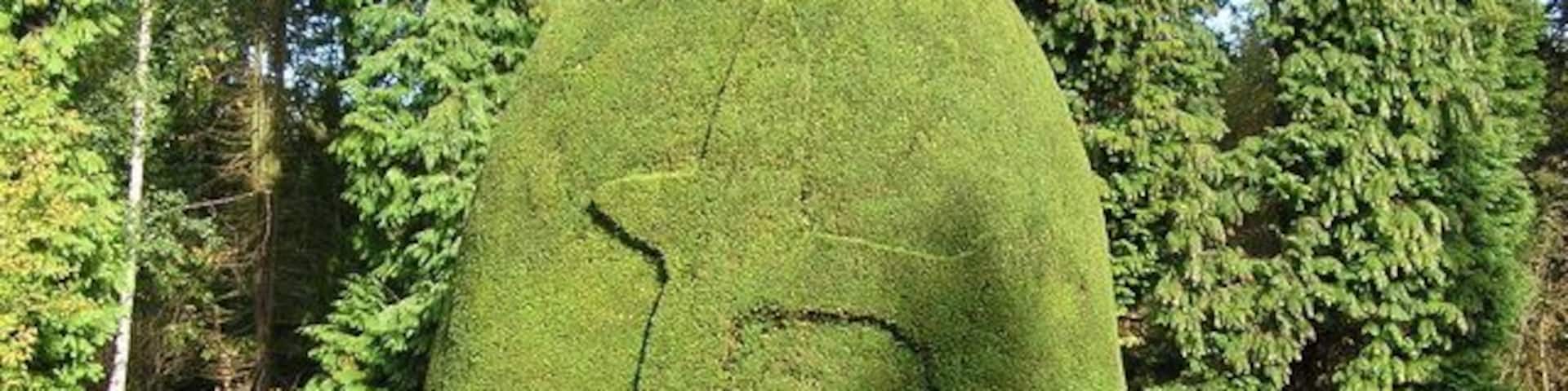 Clipsham Yew Tree Avenue — "The Spitfire" topiary sculpture. Located in the Clipsham Hall Park, near Clipsham, England. The topiary avenue (landscape allée) stretches for 500 metres (1,600 ft), with ~150 shaped yew trees—Taxus baccata topiary lining the former carriage drive to Clipsham Hall.