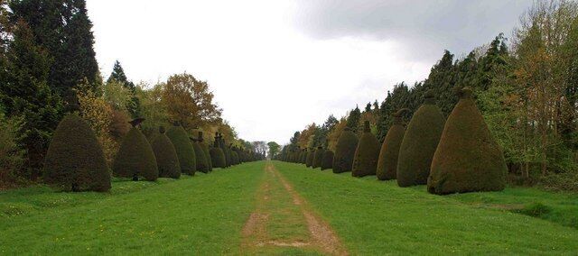 The Clipsham Yew Tree Avenue — located in the Clipsham Hall Park, near Clipsham, England. The topiary avenue (landscape allée) stretches for 500 metres (1,600 ft), with ~150 shaped yew trees—Taxus baccata topiary lining the former carriage drive to Clipsham Hall. Yew tree trimming was started by Amos Alexander in 1870 whilst living at the gatehouse. The Forestry Commission took over the avenue in 1955 and has continued with the tradition.