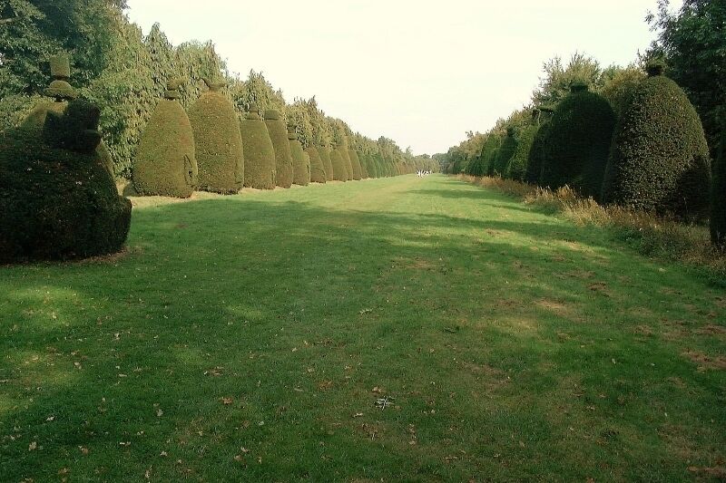 Clipsham: Yew Tree Avenue