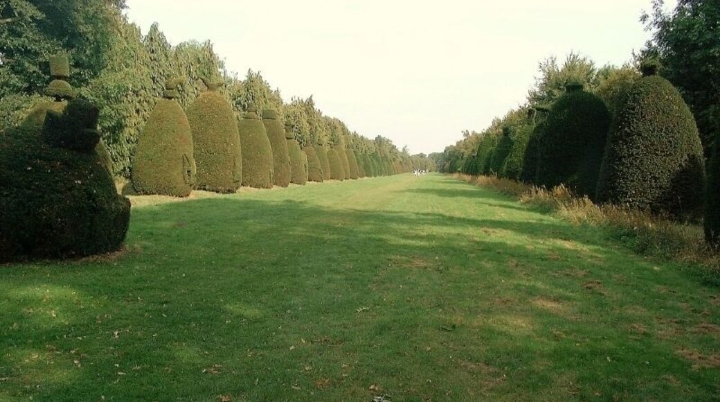Clipsham: Yew Tree Avenue