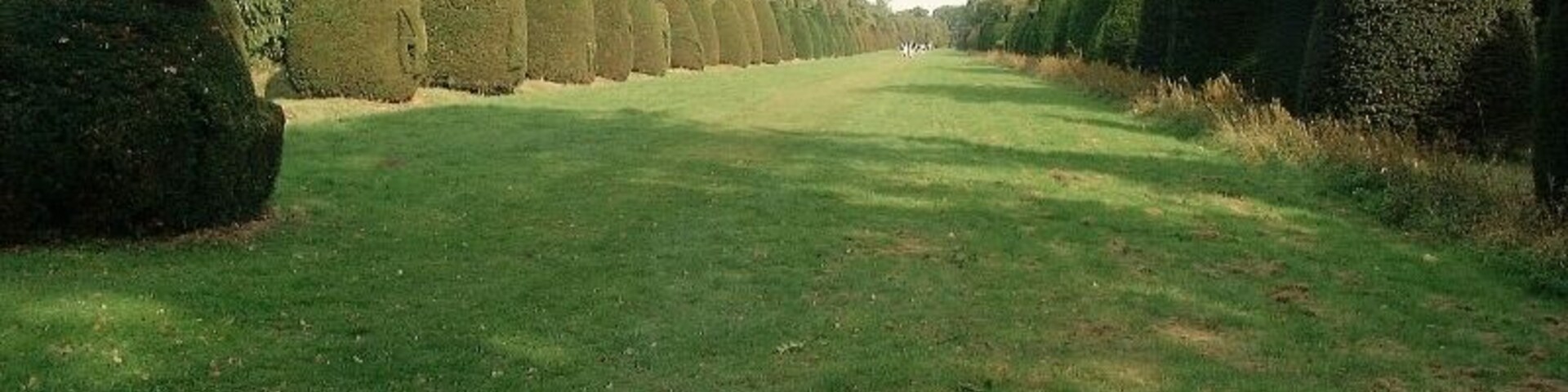 Un campo de golf con setos recortados y un césped bien cuidado.