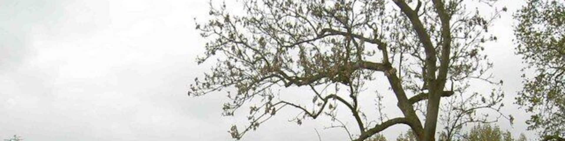 View from Barnsdale Hall grounds. Looking over Rutland water to the Hambleton peninsula.