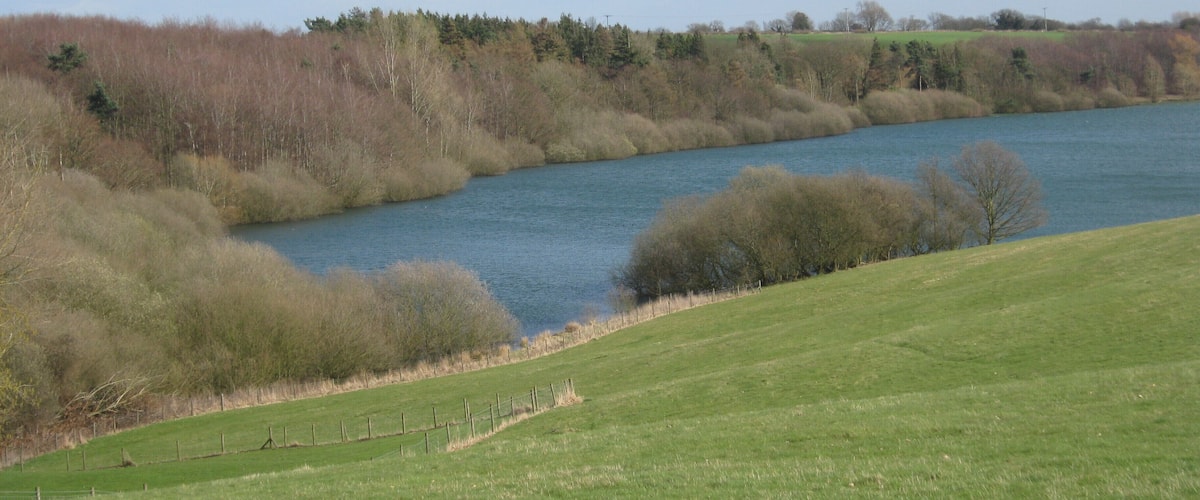 A river winding through a grassy landscape with trees and a clear sky.