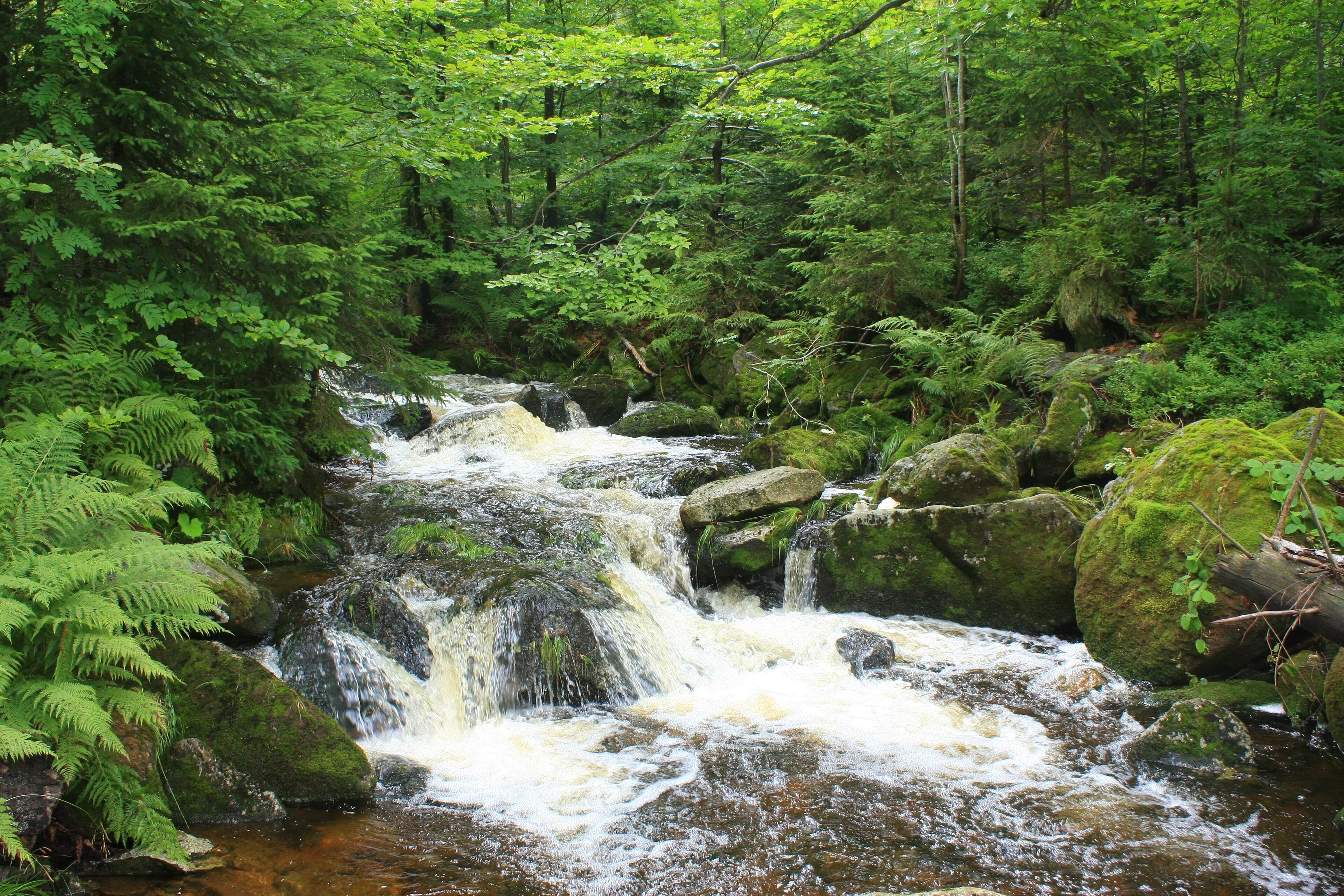 A cascading waterfall surrounded by dense green forest.