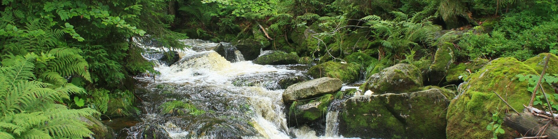 A cascading waterfall surrounded by dense green forest.