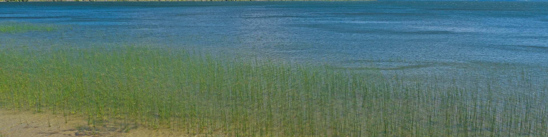 Un lago con aguas cristalinas, una orilla arenosa y una isla boscosa a lo lejos.