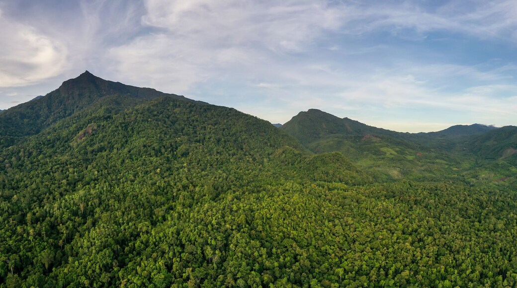 Scenic view of Mount Nambuyukon surrounded by lush tropical rainforest in Serinsim, Kota Marudu, Sabah, Malaysia. Beautiful mountain landscape with rich greenery under blue sky.