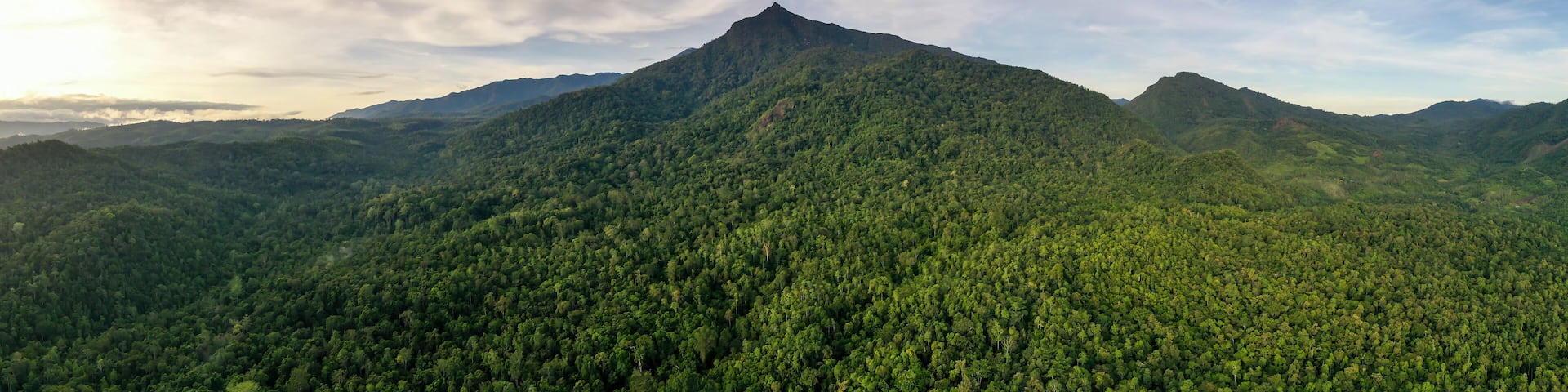Scenic view of Mount Nambuyukon surrounded by lush tropical rainforest in Serinsim, Kota Marudu, Sabah, Malaysia. Beautiful mountain landscape with rich greenery under blue sky.