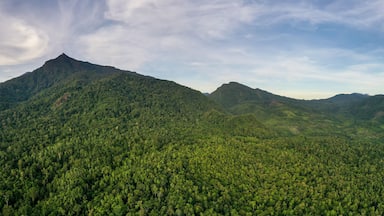 Scenic view of Mount Nambuyukon surrounded by lush tropical rainforest in Serinsim, Kota Marudu, Sabah, Malaysia. Beautiful mountain landscape with rich greenery under blue sky.