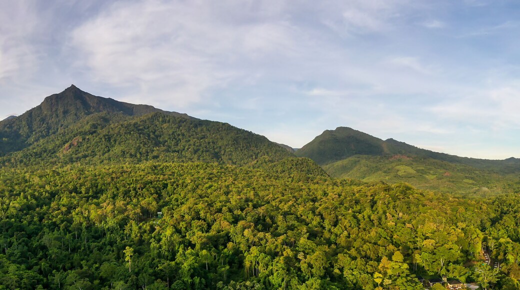 Scenic view of Mount Nambuyukon surrounded by lush tropical rainforest in Serinsim, Kota Marudu, Sabah, Malaysia. Beautiful mountain landscape with rich greenery under blue sky.